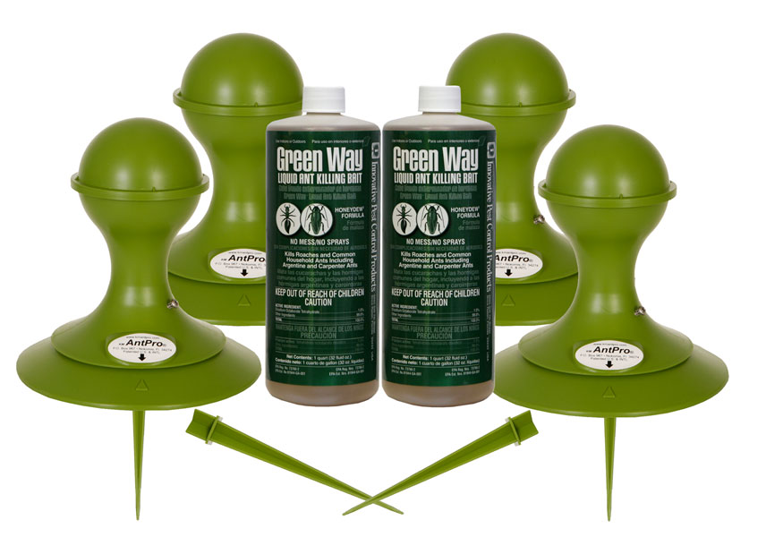 TERRO Ant Bait Station (4-Pack) in the Pesticides department at