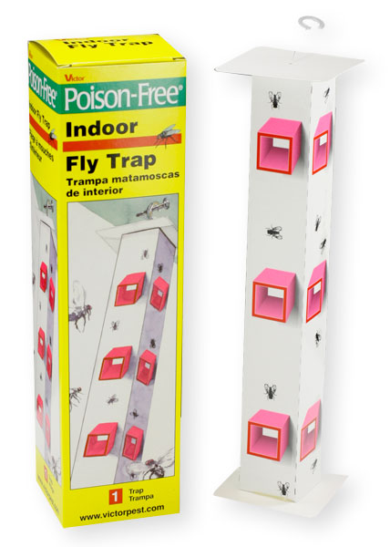 Indoor Fly Trap