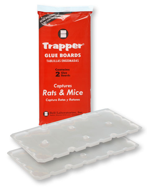 Trapper Max Glue, Glue trap, manufactured from Cardboard
