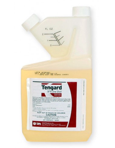 Tengard Sfr One Shot Termiticide Insecticide