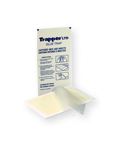 CatchMaster Glue Traps Baited Mouse & Insect - 4 ct pkg